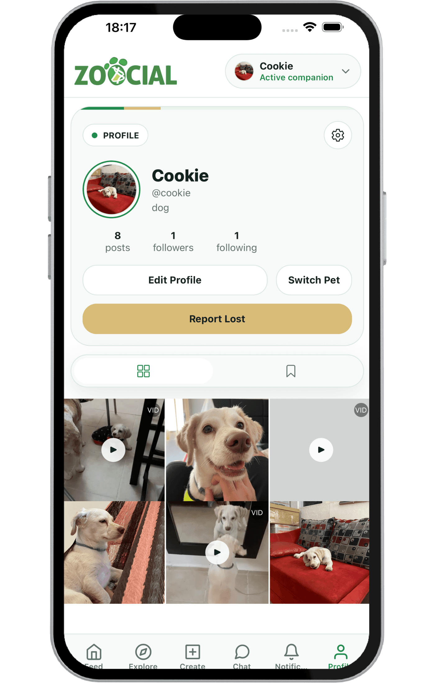 Zoocial pet profile screen showing identity, pet actions, and ownership context.