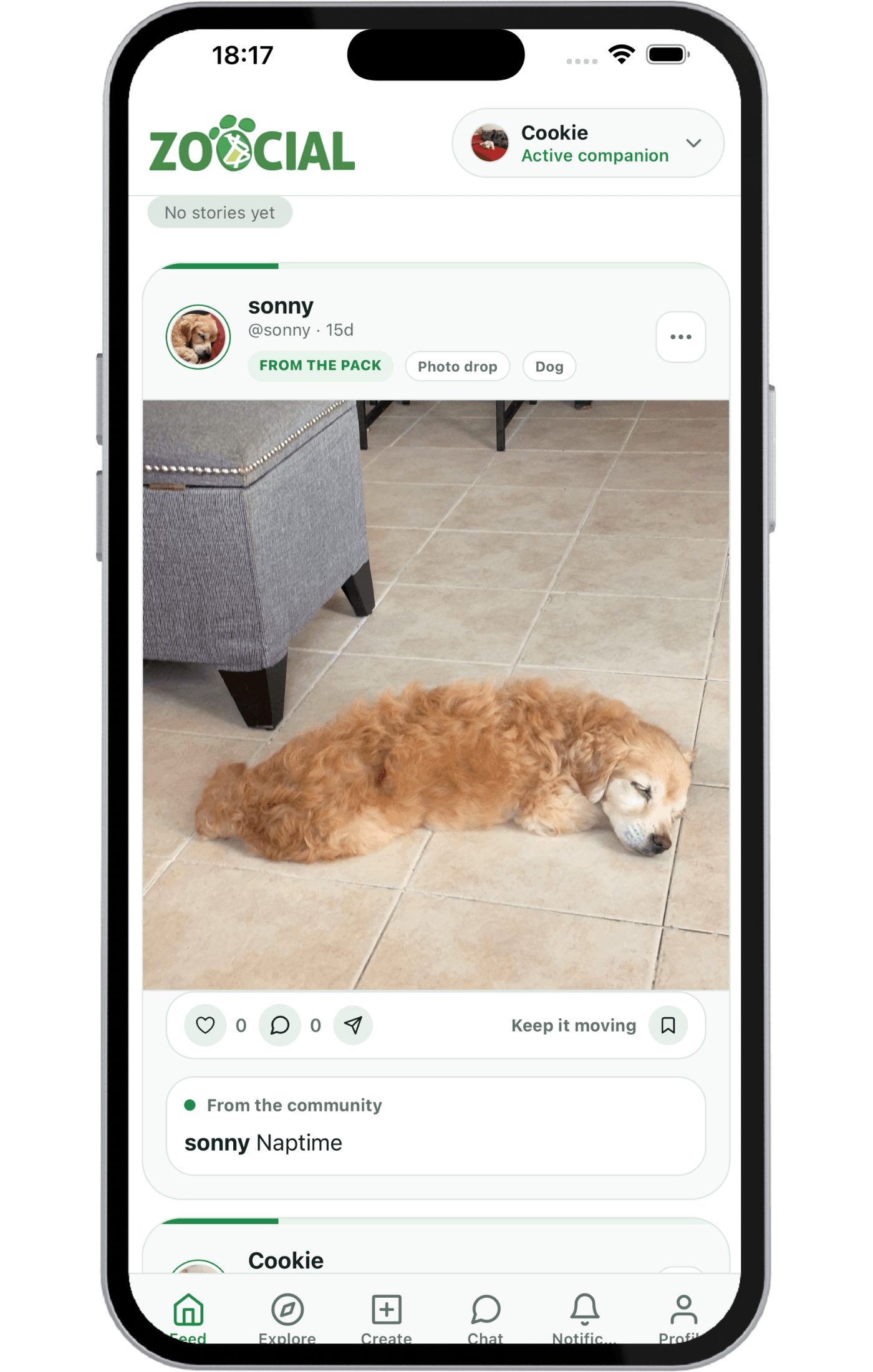 Zoocial timeline screen showing calm pet stories and community updates.